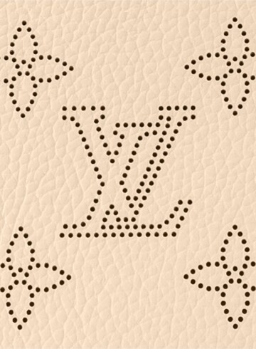 Louis Vuitton - Carmel bag