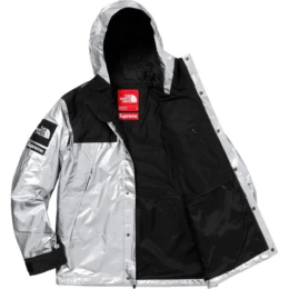 The North Face - Supreme The North Face Metallic Mountain Parka Silver