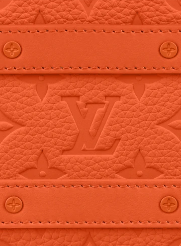 Louis Vuitton - Handle Soft Trunk