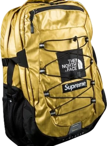 The North Face - Supreme The North Face Metallic Borealis Backpack Gold