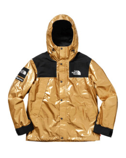 The North Face - Supreme The North Face Metallic Mountain Parka Gold