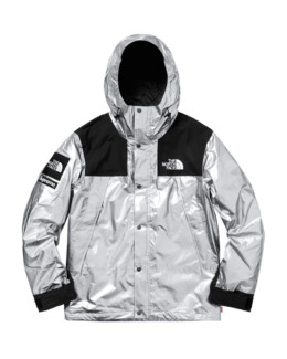 The North Face - Supreme The North Face Metallic Mountain Parka Silver