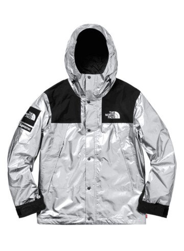 The North Face - Supreme The North Face Metallic Mountain Parka Silver