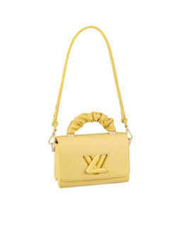 Louis Vuitton - Twist PM bag