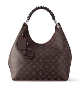 Louis Vuitton - Louis Vuitton Carmel hobo bag