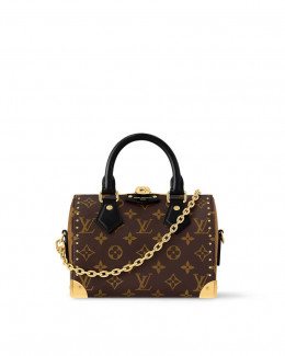 Louis Vuitton Speedy Trunk 20