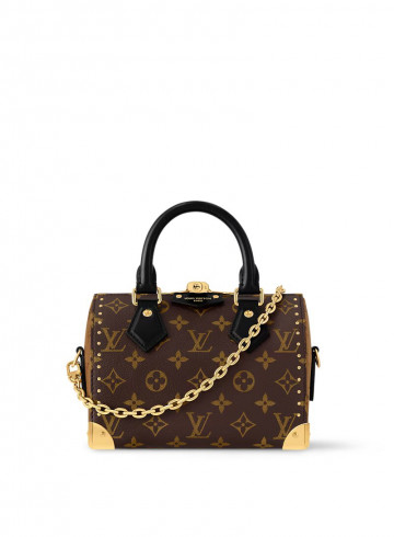 Louis Vuitton Speedy Trunk 20