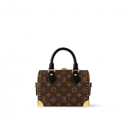 Louis Vuitton Speedy Trunk 20