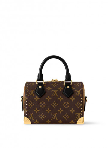 Louis Vuitton Speedy Trunk 20