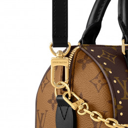 Louis Vuitton Speedy Trunk 20