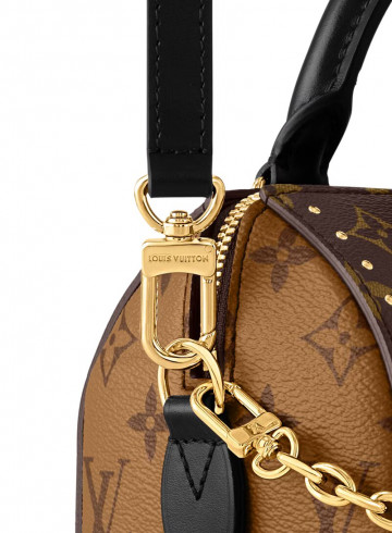 Louis Vuitton Speedy Trunk 20