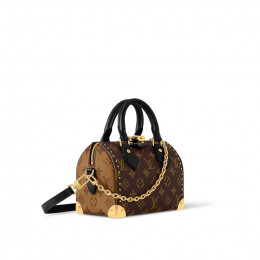 Louis Vuitton Speedy Trunk 20