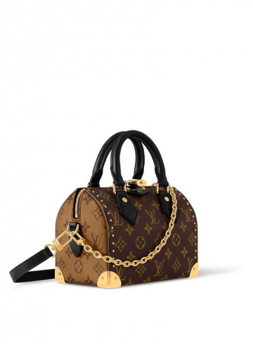 Louis Vuitton Speedy Trunk 20