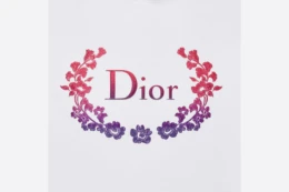 Christian Dior - Relaxed-Fit Hooded Sweatshirt