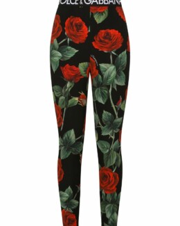 Dolce & Gabbana - Dolce & Gabbana rose-print charmeuse leggings