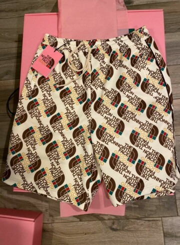 Gucci - Gucci x The North Face Web Print Silk Shorts