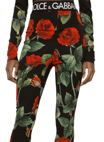 Dolce & Gabbana - Dolce & Gabbana rose-print charmeuse leggings