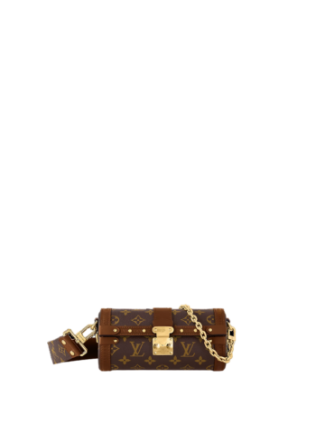 Louis Vuitton - Papillon Trunk